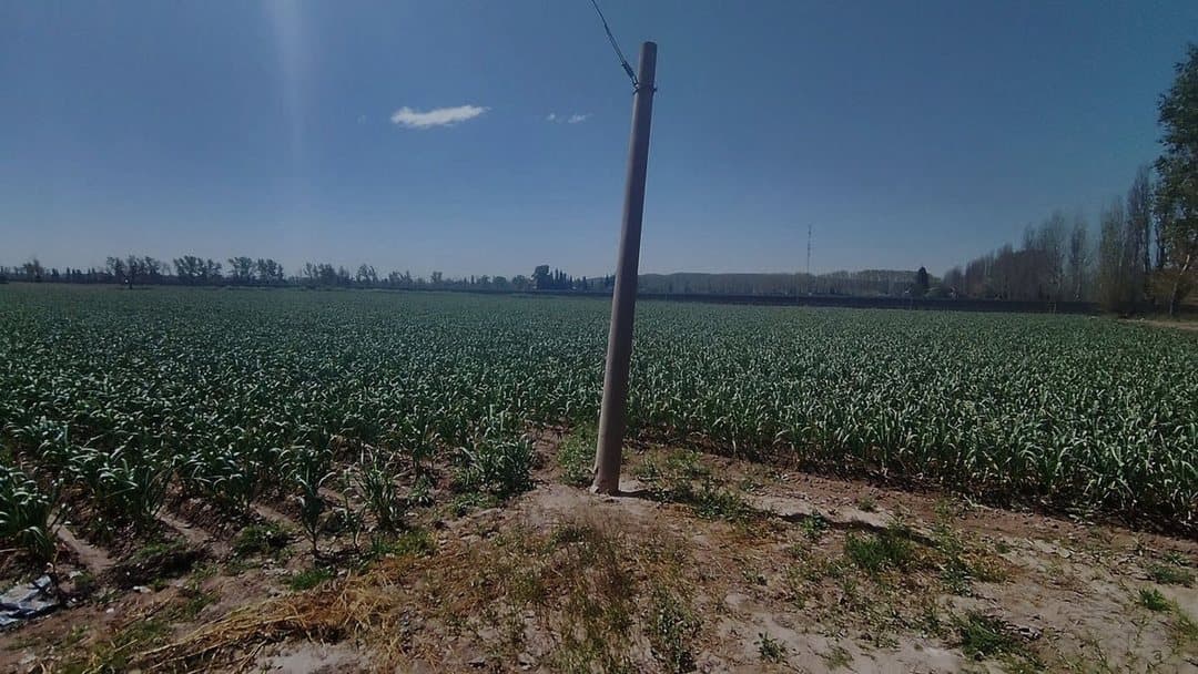 Finca 5,2 ha en Perdriel